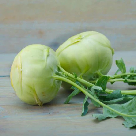 Kohlrabi