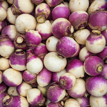 Turnips - Purple Top