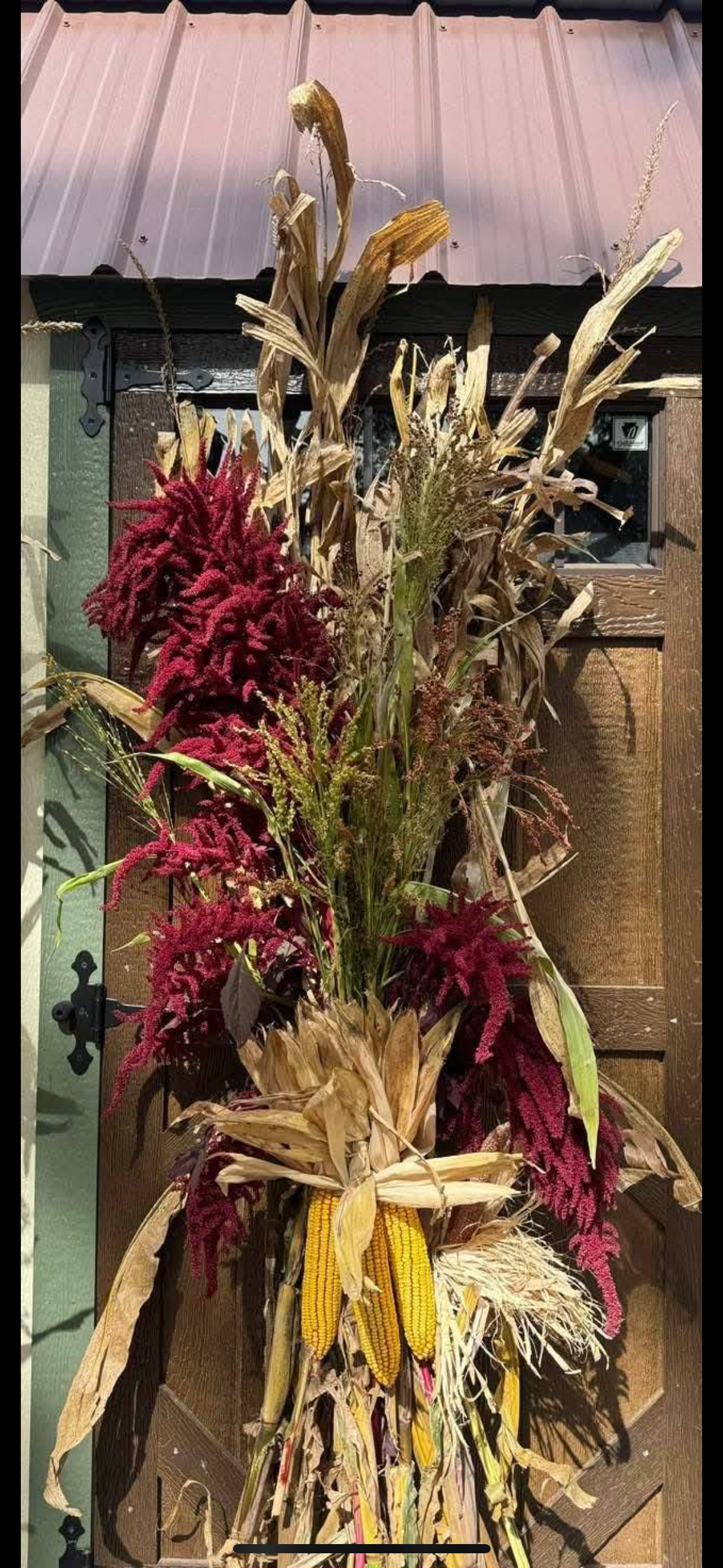 Fall Decoration - Stalks