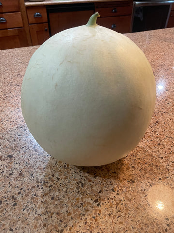 Honeydew melon