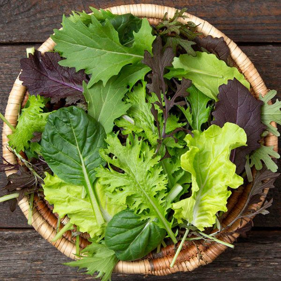 Farm Fresh Kaleidoscope (mixed mustard greens) - 8 oz bag - Locally Grown in Ladd, Illinois - Vegetables
