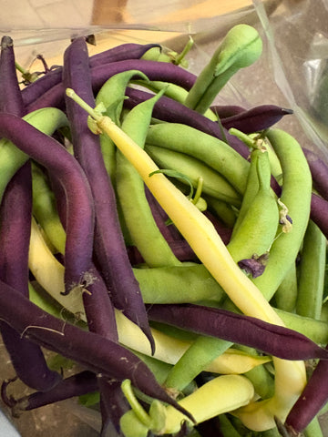 Farm Fresh Beans - Mixed Green, Yellow, and Purple - 8 oz - Locally Grown in Ladd, Illinois - Vegetables