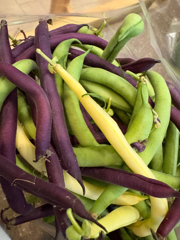 Farm Fresh Beans - Mixed Green, Yellow, and Purple - 8 oz - Locally Grown in Ladd, Illinois - Vegetables