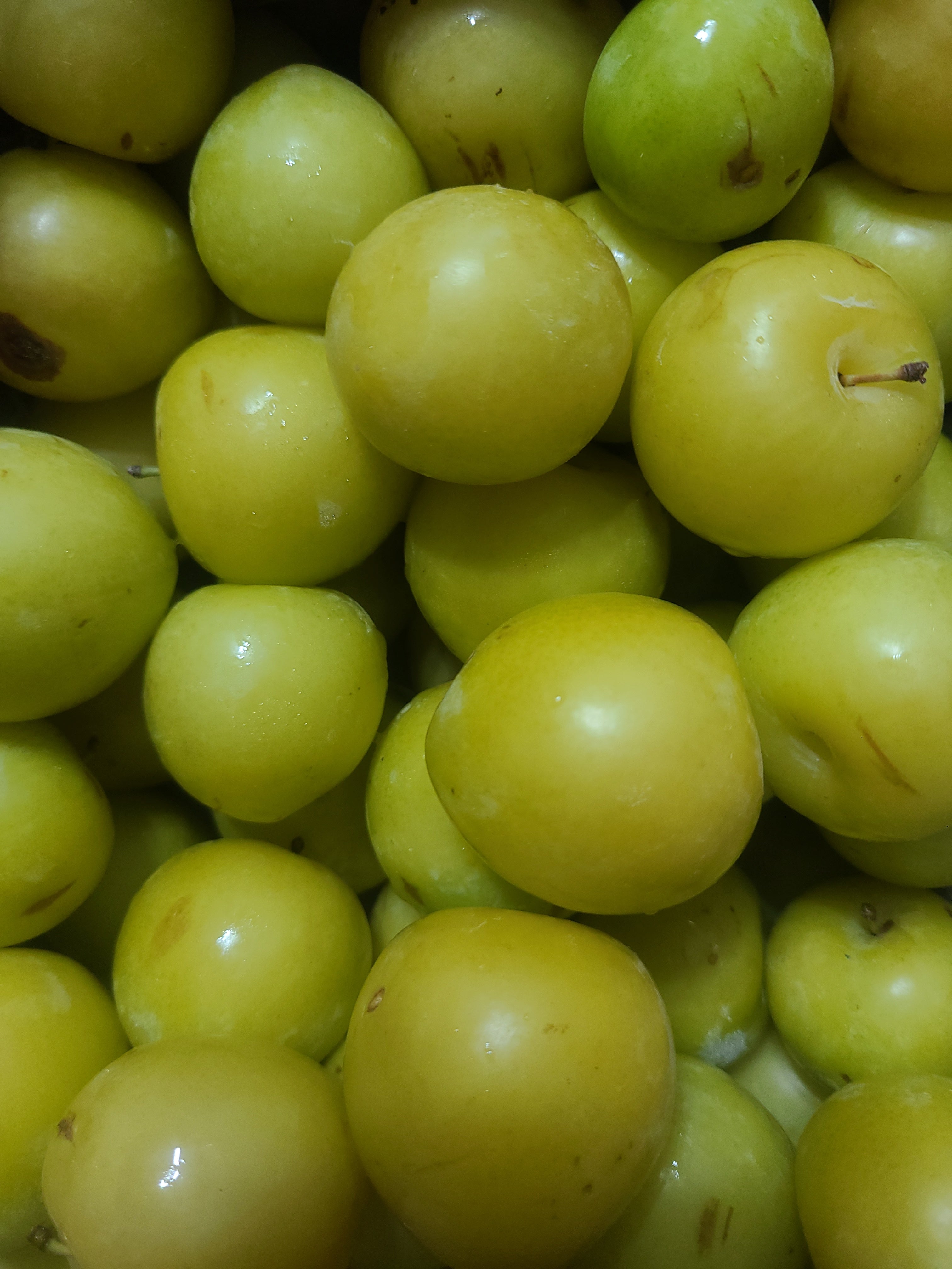 Plums - Yellow Shiro