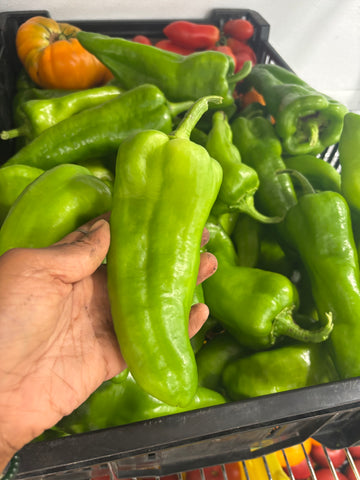 Farm Fresh Peppers - Poblano - Locally Grown in Ladd, Illinois - Vegetables