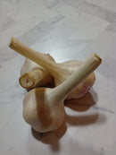 Farm Fresh Garlic - Hard Neck Porcelain 1/4# - Locally Grown in Ladd, Illinois - Vegetables