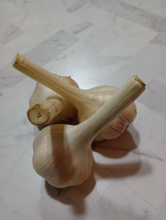 Farm Fresh Garlic - Hard Neck Porcelain 1/4# - Locally Grown in Ladd, Illinois - Vegetables