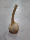 Garlic - Hard Neck Standard 1/4#-1