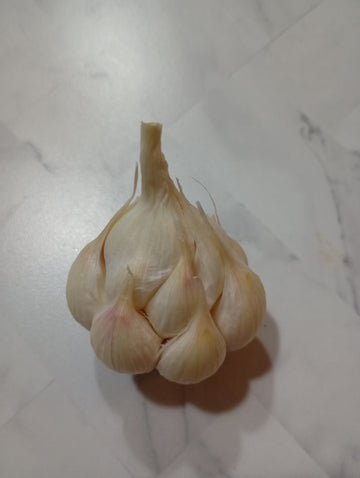 Farm Fresh Garlic - Soft Neck 1/4# - Locally Grown in Ladd, Illinois - Vegetables
