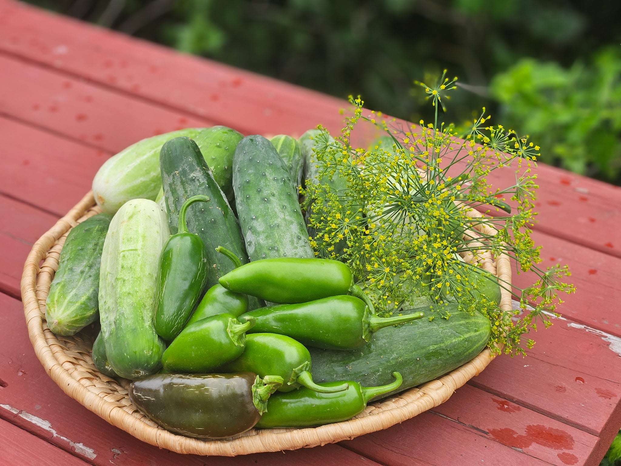 Bundle - Pickling