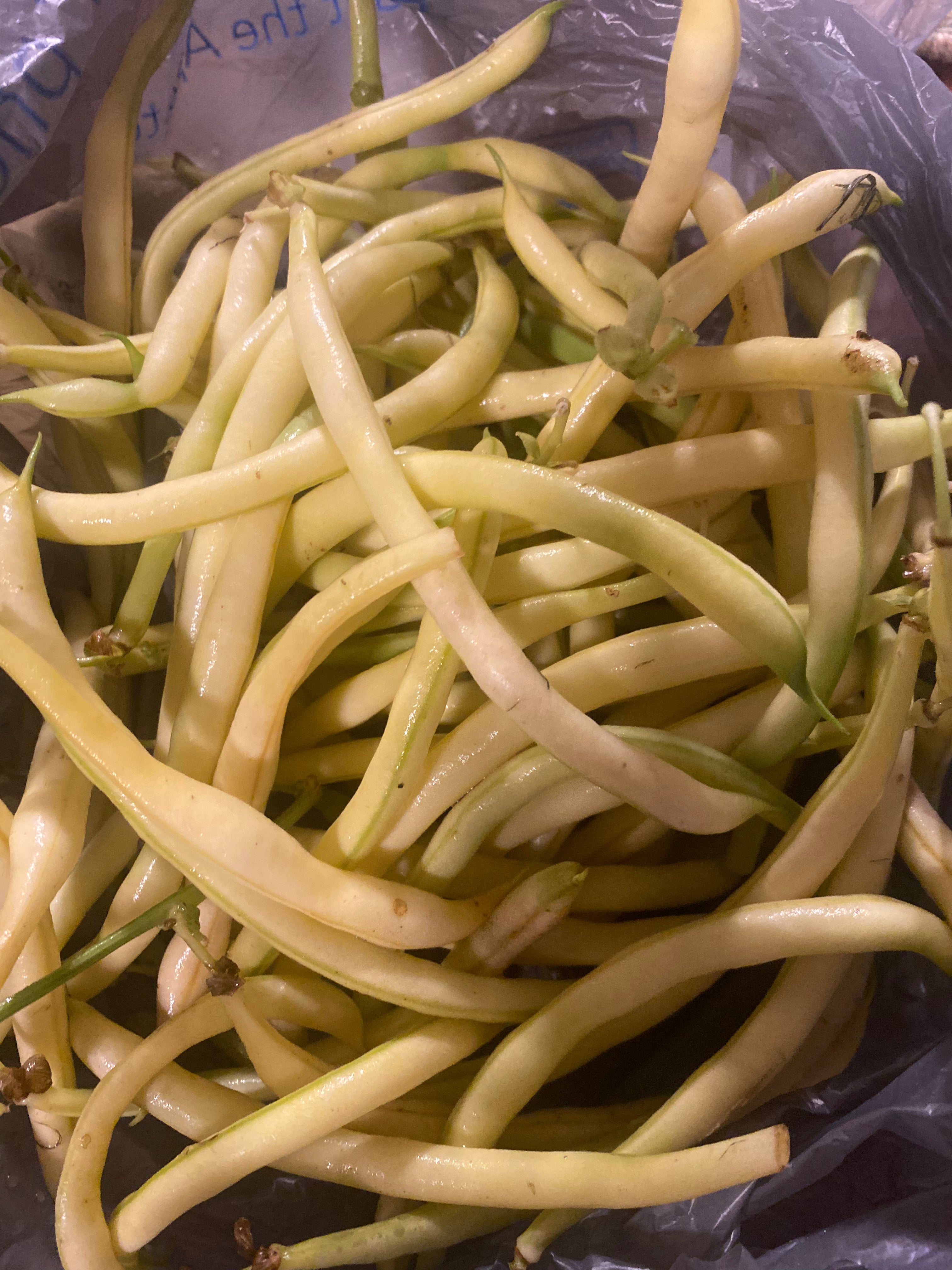 Yellow Beans - 8 oz