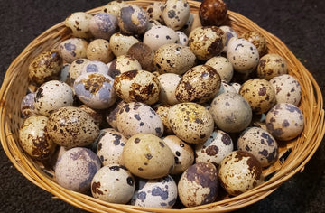 Eggs- Quail - 2 dozen
