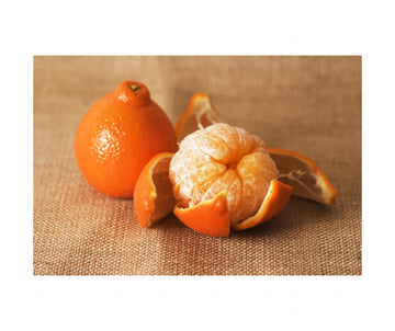 Citrus - Tangelo Oranges