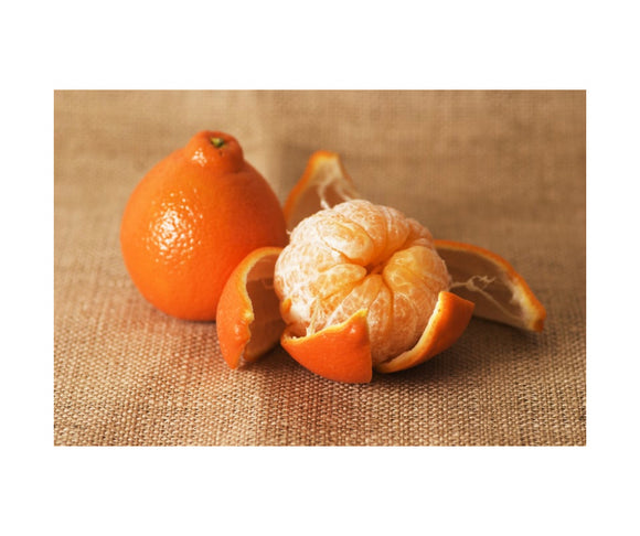 Citrus - Tangelo Oranges
