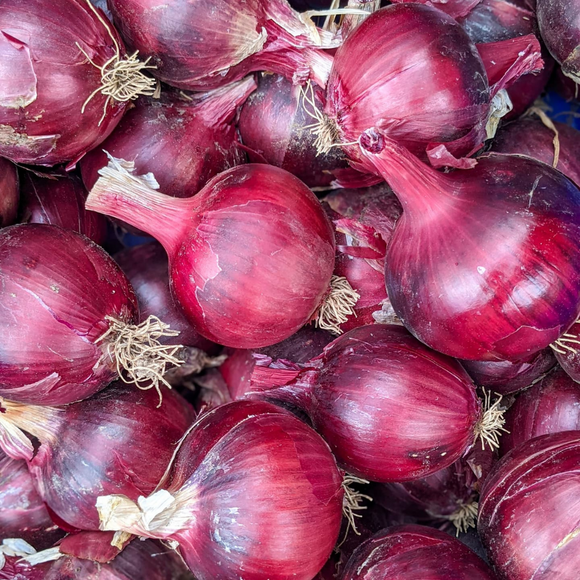 Onions - Red