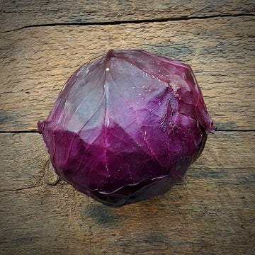 Cabbage - Red