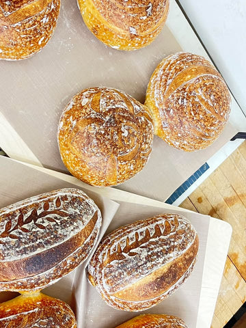 Farm Fresh Sourdough - Chocolate Hazelnut - Locally Grown in Ladd, Illinois - Pantry
