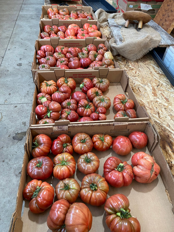 Farm Fresh Plant Starts - Beefsteak Tomatoes - Locally Grown in Ladd, Illinois - Plant Starts