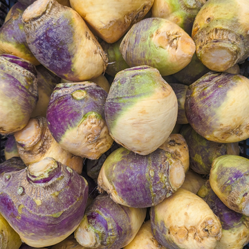 Farm Fresh Rutabaga - Locally Grown in Ladd, Illinois - Vegetables