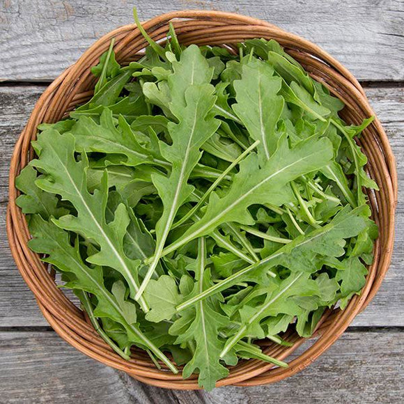 Arugula - Small 6-8 oz bag