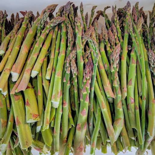 Asparagus - green - 8 oz