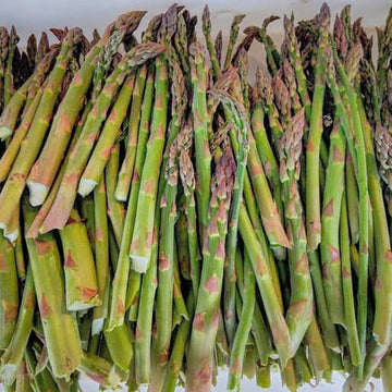 Asparagus - green - 8 oz