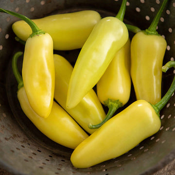 Peppers - Banana