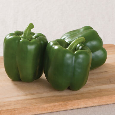 Farm Fresh Peppers - Green and Red mixed - Locally Grown in Ladd, Illinois - Vegetables