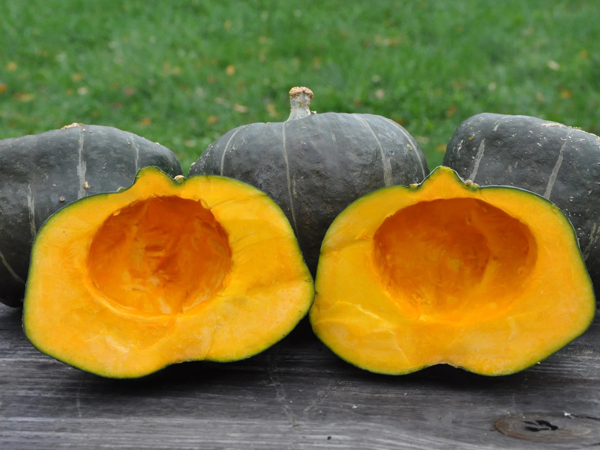 Squash - Buttercup