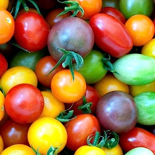 Tomatoes - Red and Yellow Cherry