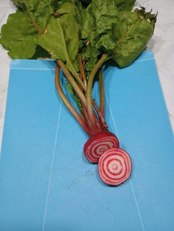 Beets - Chioggia