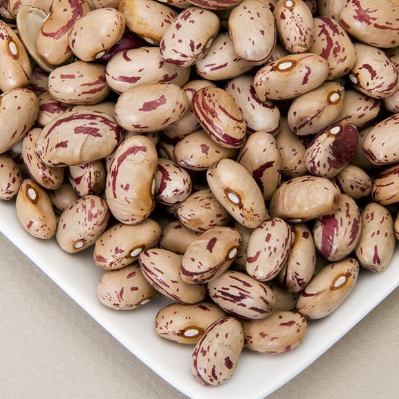 Organic Dry Beans