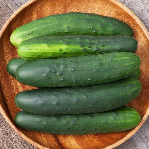 Farm Fresh Cucumbers - Slicing - Locally Grown in Ladd, Illinois - Vegetables