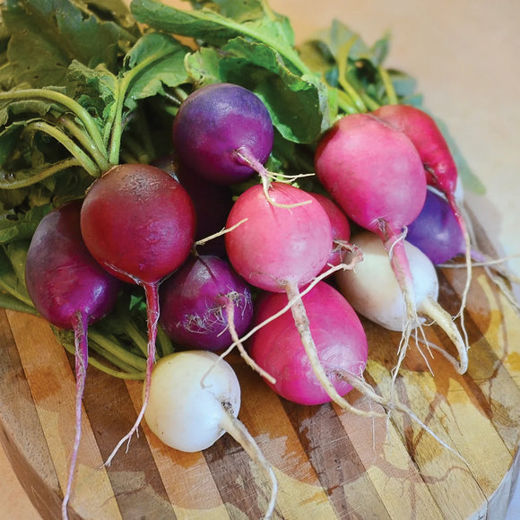 Farm Fresh Radish - Easter Egg - with greens - Locally Grown in Ladd, Illinois - Vegetables