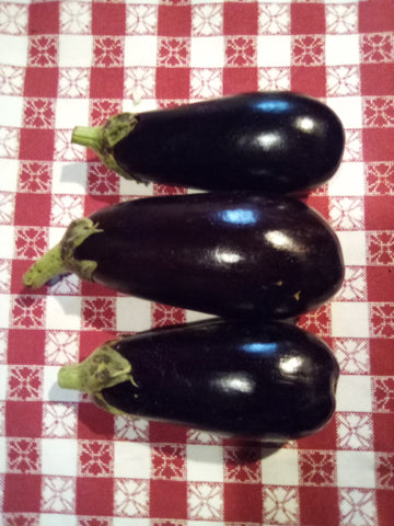 Eggplant - Italian