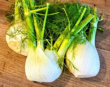 Fennel with Fronds