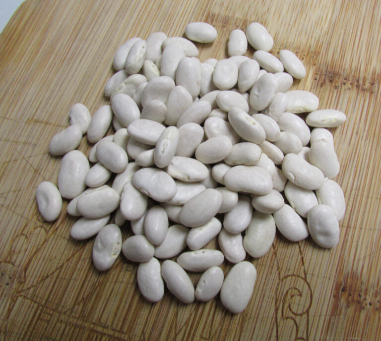 Organic Dry Beans