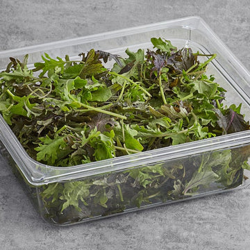 Farm Fresh Kale - Mix - Locally Grown in Ladd, Illinois - New