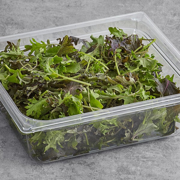 Kale - Mix