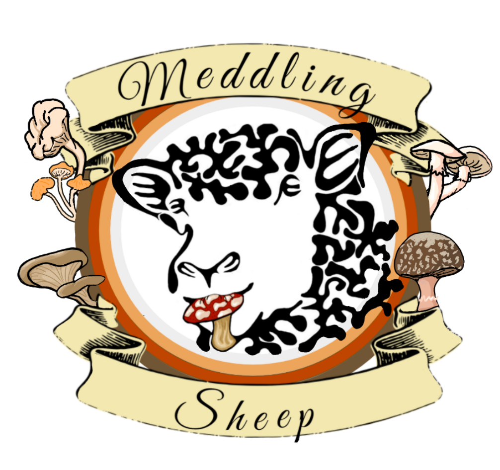 Meddling sheep mushrooms