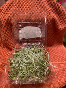 Microgreens-3