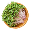 Microgreens-5