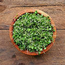 Microgreens-1