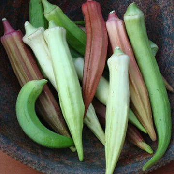 Farm Fresh Okra - Locally Grown in Ladd, Illinois - Vegetables