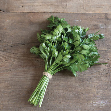 Parsley - Flat leaf