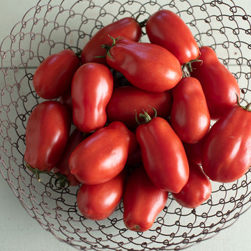 Tomatoes - Saucing