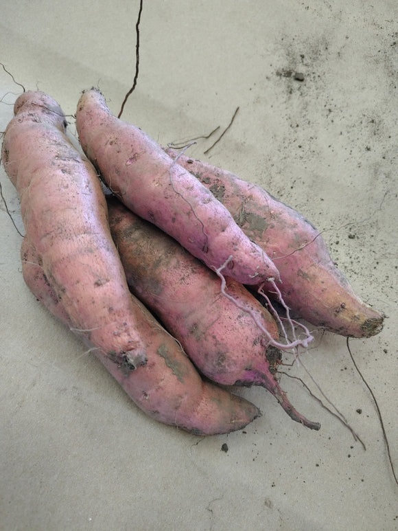 Potatoes - Sweet Potatoes - mixed
