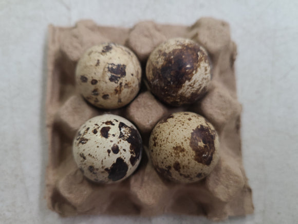 Eggs- Quail - 4 pack sampler