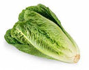 Lettuce - 8 oz bags-3