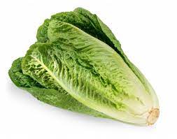 Farm Fresh Lettuce - Outdoor Grown - 8 oz - Locally Grown in Ladd, Illinois - Vegetables